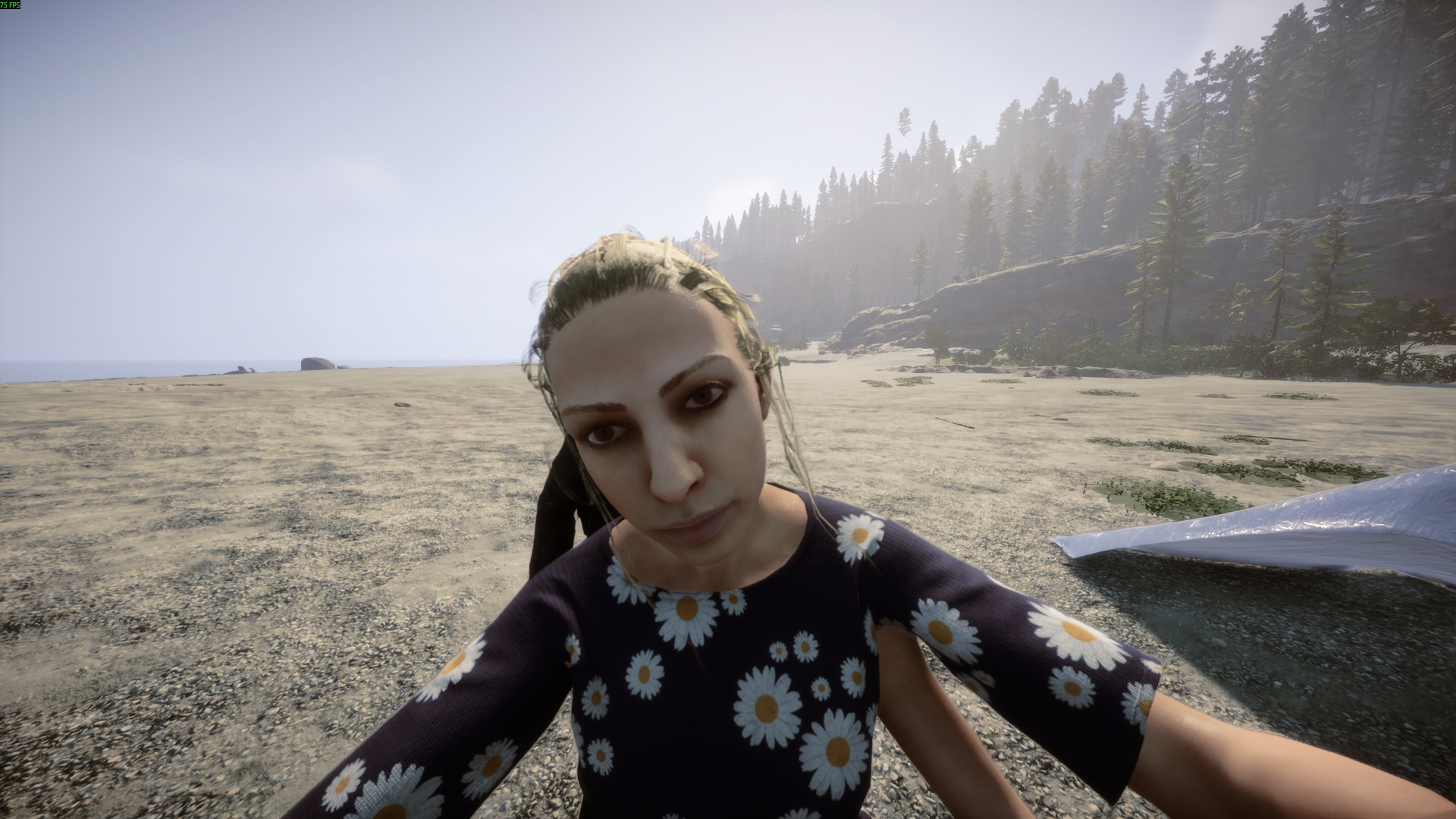 Virginia Hug Emote - Image 2